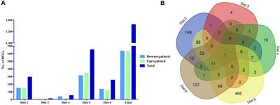 Hepatic transcriptome analyses of juvenile white bass (Morone chrysops) when fed diets where fish meal is partially or totally replaced by alternative protein sources